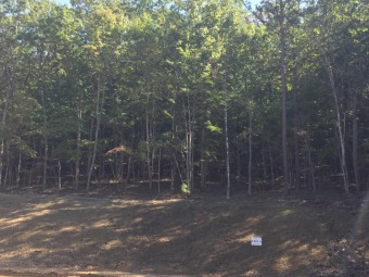 Build Your Dream Home On This Fabulous .78 Acre Lot 6 in The on Hunting Hills Country Club in Virginia - for sale on GolfHomes.com, golf home, golf lot