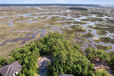 Stunning marsh front lot with water views located in the Laurel on Laurel Island Links in Georgia - for sale on GolfHomes.com, golf home, golf lot