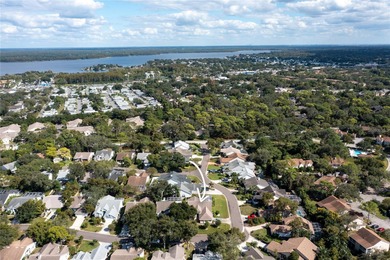 Welcome to this inviting 4-bedroom, 2-bathroom pool home on Innisbrook Resort and Golf Club in Florida - for sale on GolfHomes.com, golf home, golf lot