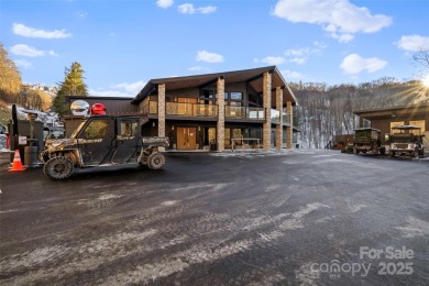 DISCOVER THE ULTIMATE MOUNTAIN RETREAT IN WOLF LAUREL! Living in on Wolf Laurel Country Club in North Carolina - for sale on GolfHomes.com, golf home, golf lot