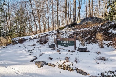 DISCOVER THE ULTIMATE MOUNTAIN RETREAT IN WOLF LAUREL! Living in on Wolf Laurel Country Club in North Carolina - for sale on GolfHomes.com, golf home, golf lot