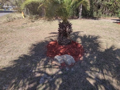 Lots of room in this house, located in Sugarmill Woods. Built by on Sugarmill Woods Golf and Country Club in Florida - for sale on GolfHomes.com, golf home, golf lot