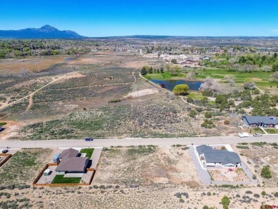 JaCee Apple, Keller Williams Colorado West Realty, C: on Conquistador Golf Course in Colorado - for sale on GolfHomes.com, golf home, golf lot