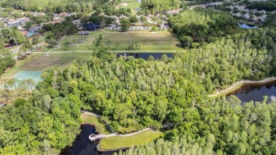 Step into this incredibly maintained and updated home nestled in on Westchase Golf Club in Florida - for sale on GolfHomes.com, golf home, golf lot