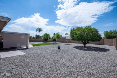 Dreaming of the perfect 55+ active lifestyle?  Then this on PalmBrook Country Club in Arizona - for sale on GolfHomes.com, golf home, golf lot