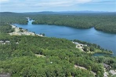Custom Bulit Craftsman Ranch Over a Full Walk-out Terrace Level on The Highlands Course at Lake Arrowhead in Georgia - for sale on GolfHomes.com, golf home, golf lot