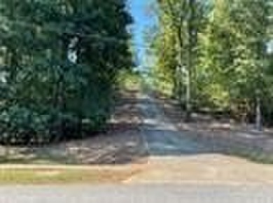 ALL THE CONVENIENCE OF LIVING ON THE GOLF COURSE WITH NONE OF on Chestatee Golf Club in Georgia - for sale on GolfHomes.com, golf home, golf lot