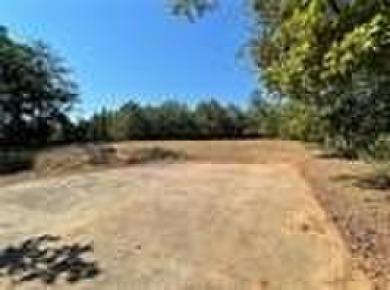 ALL THE CONVENIENCE OF LIVING ON THE GOLF COURSE WITH NONE OF on Chestatee Golf Club in Georgia - for sale on GolfHomes.com, golf home, golf lot