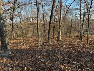 Perfectly situated near some of Bella Vista's best amenities on Bella Vista - Metfield Golf Complex and Country Club in Arkansas - for sale on GolfHomes.com, golf home, golf lot