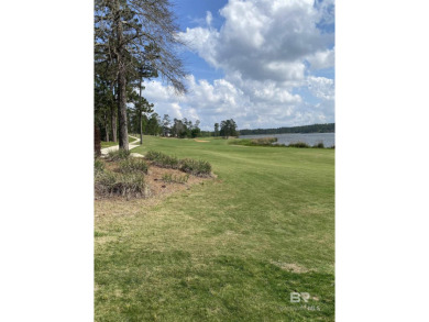 BACK ON THE MARKET, WON'T LAST LONG! Come enjoy the Beautiful on Steelwood Country Club in Alabama - for sale on GolfHomes.com, golf home, golf lot