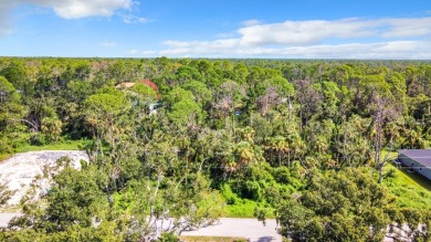 Just hitting the market, property for sale at 18186 Sinatra on Bobcat Trail Golf Club in Florida - for sale on GolfHomes.com, golf home, golf lot