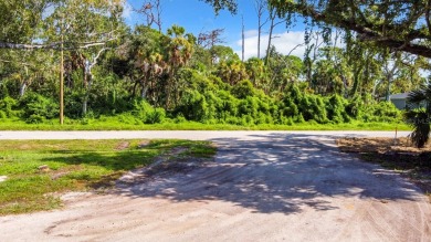 Just hitting the market, property for sale at 18186 Sinatra on Bobcat Trail Golf Club in Florida - for sale on GolfHomes.com, golf home, golf lot