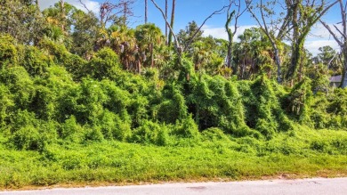 Just hitting the market, property for sale at 18186 Sinatra on Bobcat Trail Golf Club in Florida - for sale on GolfHomes.com, golf home, golf lot