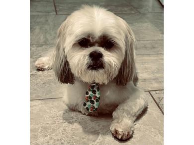 Work-From-Home Oasis Near Golf, Beaches, and More! Spacious & on Daytona Beach Golf Club in Florida - for sale on GolfHomes.com, golf home, golf lot