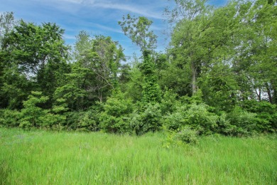 Build your dream home on this fantastic lot with breathtaking on Island Hills Golf Club in Michigan - for sale on GolfHomes.com, golf home, golf lot