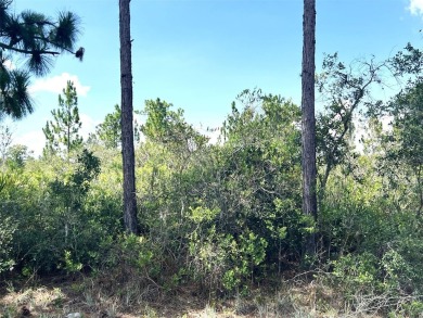 LOOKING TO BUILD YOUR DREAM HOME...Half acre buildable lot on Indian Lake Estates Golf and Country Club in Florida - for sale on GolfHomes.com, golf home, golf lot