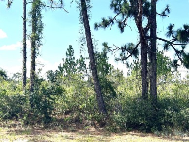 LOOKING TO BUILD YOUR DREAM HOME...Half acre buildable lot on Indian Lake Estates Golf and Country Club in Florida - for sale on GolfHomes.com, golf home, golf lot