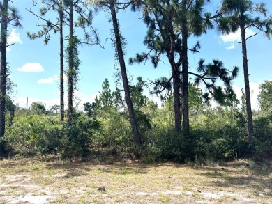 LOOKING TO BUILD YOUR DREAM HOME...Half acre buildable lot on Indian Lake Estates Golf and Country Club in Florida - for sale on GolfHomes.com, golf home, golf lot