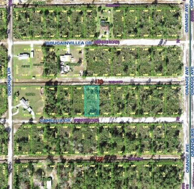 LOOKING TO BUILD YOUR DREAM HOME...Half acre buildable lot on Indian Lake Estates Golf and Country Club in Florida - for sale on GolfHomes.com, golf home, golf lot