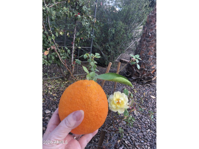 This BEAUTIFUL home sits in a quiet, peaceful area & has been on Trilogy Golf Club At Vistancia in Arizona - for sale on GolfHomes.com, golf home, golf lot