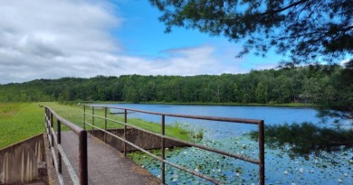 Prime Building Lot in The Hideout - Lake Ariel, PA Start your on The Hideout Golf in Pennsylvania - for sale on GolfHomes.com, golf home, golf lot