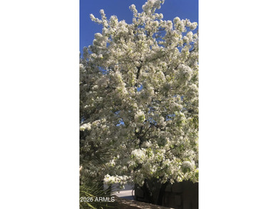 This BEAUTIFUL home sits in a quiet, peaceful area & has been on Trilogy Golf Club At Vistancia in Arizona - for sale on GolfHomes.com, golf home, golf lot