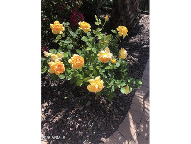 This BEAUTIFUL home sits in a quiet, peaceful area & has been on Trilogy Golf Club At Vistancia in Arizona - for sale on GolfHomes.com, golf home, golf lot