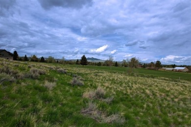 Be part of the beautiful Panorama View Subdivision at the edge on Olive Glenn Golf and Country Club in Wyoming - for sale on GolfHomes.com, golf home, golf lot