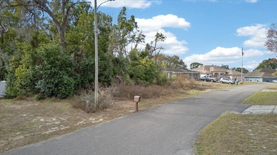 Build your dream home on this spacious 0.3444-acre homesite on Spring Hill Golf Course in Florida - for sale on GolfHomes.com, golf home, golf lot