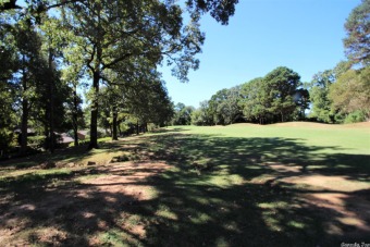 Eden Isle lot on the Red Apple Golf Course!!!  This well on Red Apple Inn and Country Club in Arkansas - for sale on GolfHomes.com, golf home, golf lot