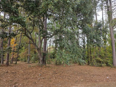 Welcome to the Beautiful and Gated Santee Cooper Resort! Just on Santee-Cooper Country Club in South Carolina - for sale on GolfHomes.com, golf home, golf lot