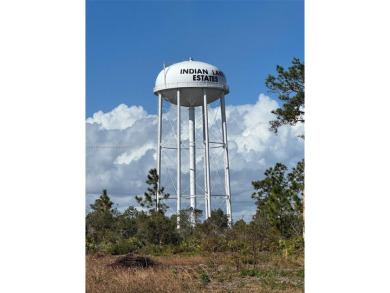 WELCOME TO INDIAN LAKE ESTATES, A SERENE COMMUNITY SURROUNDED BY on Indian Lake Estates Golf and Country Club in Florida - for sale on GolfHomes.com, golf home, golf lot