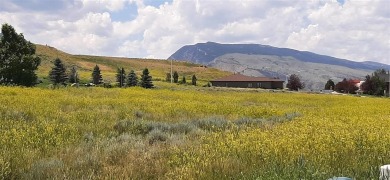 Stunning lot with mountain views in the city of Cody!  If you've on Olive Glenn Golf and Country Club in Wyoming - for sale on GolfHomes.com, golf home, golf lot
