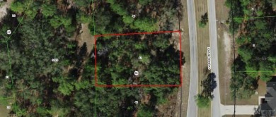 This mostly cleared .32-acre lot in the sought-after Sugarmill on Sugarmill Woods Golf and Country Club in Florida - for sale on GolfHomes.com, golf home, golf lot