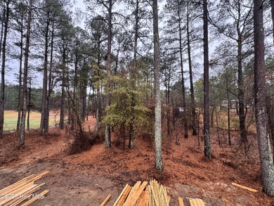 This Granville model boasts spacious great room with an electric on Legacy Golf Links in North Carolina - for sale on GolfHomes.com, golf home, golf lot