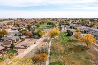 Right on golf course!  You'll LOVE the location and quality of on Desert Hawk At Pueblo West in Colorado - for sale on GolfHomes.com, golf home, golf lot
