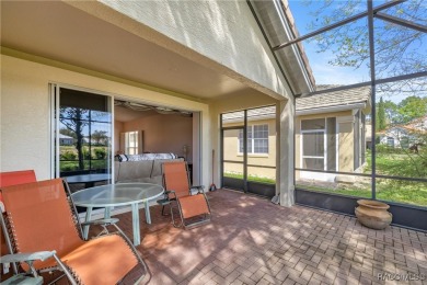 Beautiful, Cozy Carefree Home in the quiet while friendly on Skyview At Terra Vista Golf and Country Club in Florida - for sale on GolfHomes.com, golf home, golf lot