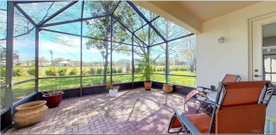 Beautiful, Cozy Carefree Home in the quiet while friendly on Skyview At Terra Vista Golf and Country Club in Florida - for sale on GolfHomes.com, golf home, golf lot