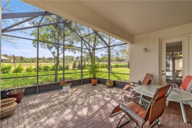 Beautiful, Cozy Carefree Home in the quiet while friendly on Skyview At Terra Vista Golf and Country Club in Florida - for sale on GolfHomes.com, golf home, golf lot