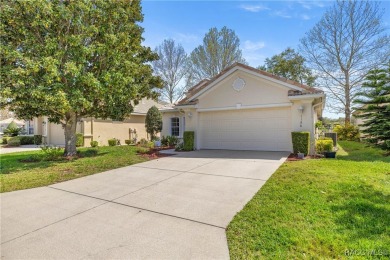 Beautiful, Cozy Carefree Home in the quiet while friendly on Skyview At Terra Vista Golf and Country Club in Florida - for sale on GolfHomes.com, golf home, golf lot