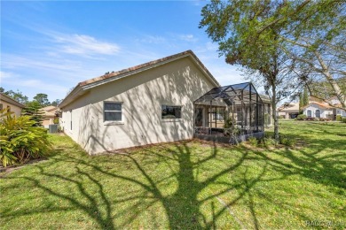 Beautiful, Cozy Carefree Home in the quiet while friendly on Skyview At Terra Vista Golf and Country Club in Florida - for sale on GolfHomes.com, golf home, golf lot