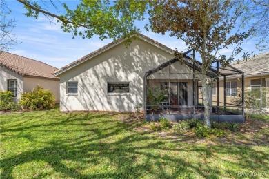 Beautiful, Cozy Carefree Home in the quiet while friendly on Skyview At Terra Vista Golf and Country Club in Florida - for sale on GolfHomes.com, golf home, golf lot