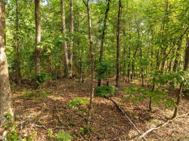 SPECTACULAR lot overlooking the beautiful DeSoto Golf Course at on DeSoto Golf Course in Arkansas - for sale on GolfHomes.com, golf home, golf lot