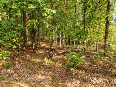 SPECTACULAR lot overlooking the beautiful DeSoto Golf Course at on DeSoto Golf Course in Arkansas - for sale on GolfHomes.com, golf home, golf lot