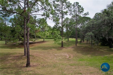 One or more photo(s) has been virtually staged. Pre-Construction on Turkey Creek Golf and Country Club in Florida - for sale on GolfHomes.com, golf home, golf lot