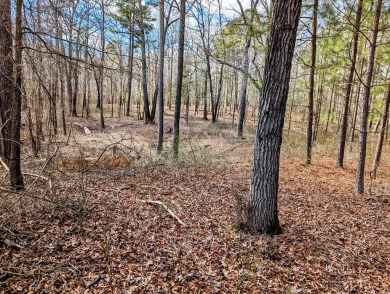 MERIFIELD ACRES LAKE LOT with well in place & a fairly level on Kinderton Country Club in Virginia - for sale on GolfHomes.com, golf home, golf lot