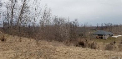 Two of the last lots remaining in the Arnold Palmer designed on Coyote Preserve Golf Club in Michigan - for sale on GolfHomes.com, golf home, golf lot