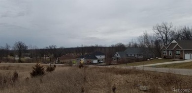 Two of the last lots remaining in the Arnold Palmer designed on Coyote Preserve Golf Club in Michigan - for sale on GolfHomes.com, golf home, golf lot