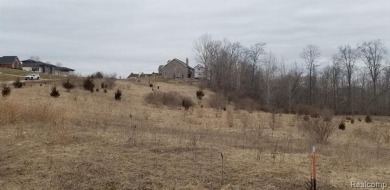 Two of the last lots remaining in the Arnold Palmer designed on Coyote Preserve Golf Club in Michigan - for sale on GolfHomes.com, golf home, golf lot