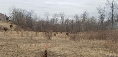 Two of the last lots remaining in the Arnold Palmer designed on Coyote Preserve Golf Club in Michigan - for sale on GolfHomes.com, golf home, golf lot